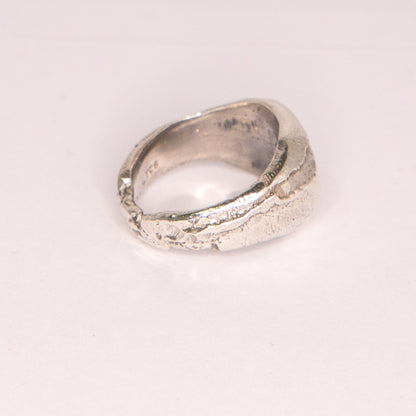 Anillo del Guerrero