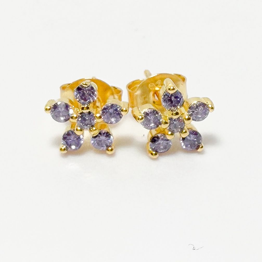 Pendientes Morado Boreal